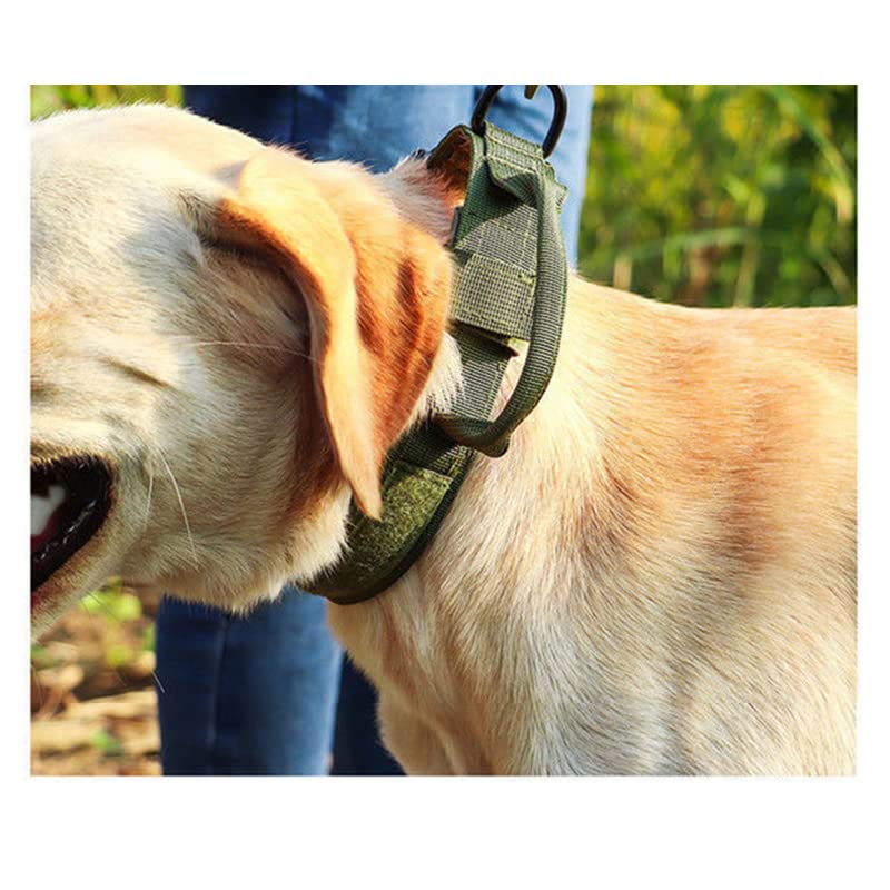 Hundehalsband-Leine-Set Training Verstellbare Halsbänder für große K9 mittelgroße Hunde mit leuchtendem Griff-Schwarz, L42-54cm