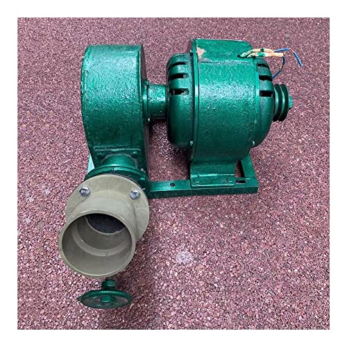 DRFGHK 3000W Single Phase Impact Hydroelectric Generator, 220V Horizontal Micro Hydro Water Turbine Generator, Household Pelton Wheel