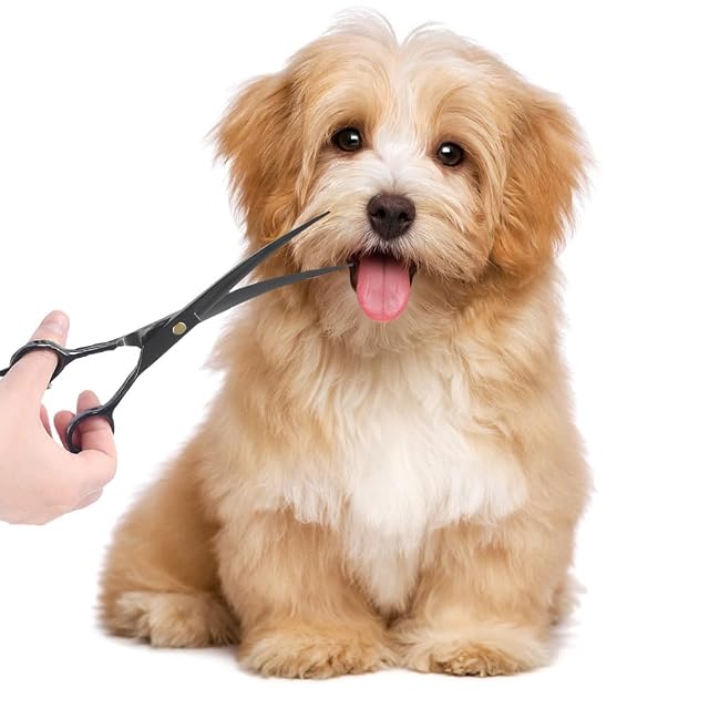 Foto 8 de 8 de Conjunto de tijeras de aseo de animales, pelo salón perro gatos con tijeras para el cabello afilado