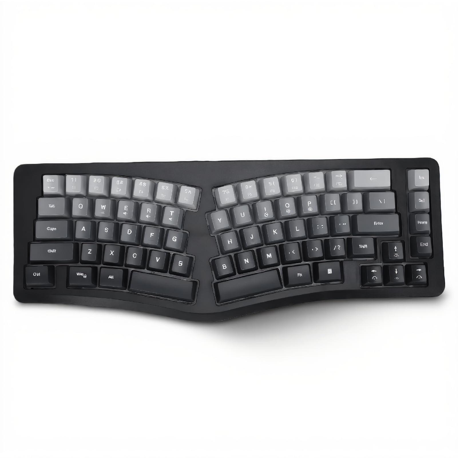 Jectse Tastiera Ergonomica Retroilluminata con Poggiapolsi, Tastiera per Computer Cablata USB a 69 Tasti 7 Colori, Comoda Illuminata per PC, per Wins, per OS X