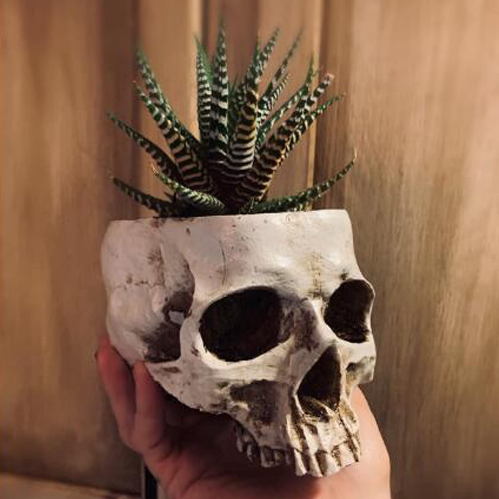 Amazon.co.jp: 頭蓋骨 花瓶 植物用 植木鉢 プランター インテリア 小物 