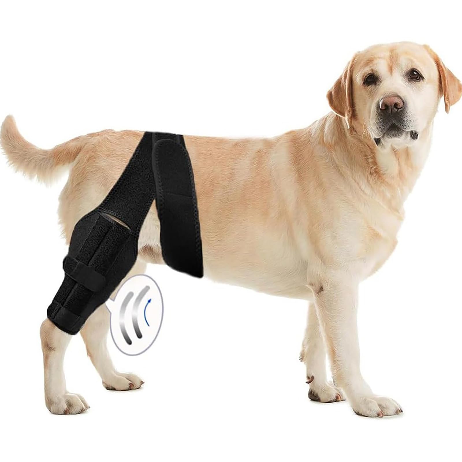 Attelle genou pour chien réglable pour retrouver le plaisir des promenades sans douleur