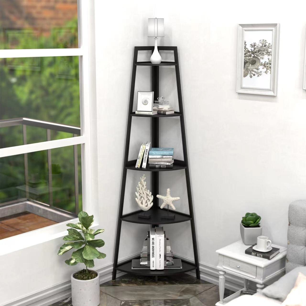 https://m.media-amazon.com/images/I/61azJ96HasL.jpg