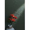 Product Photo 3