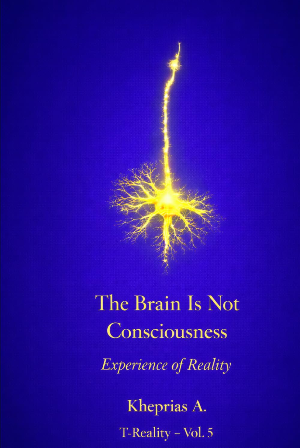 Why the Brain Does Not Produce Consciousness: Scientific Explanation and the Ontological Status of Experience (Series: T-Reality – Philosophy of Mind and Neurophilosophy)