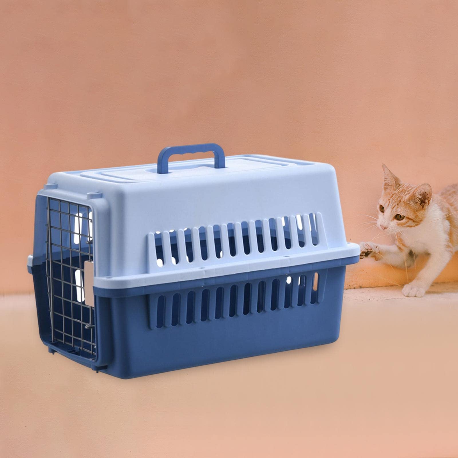 Tragbare Transportbox für Kleintiere – Leichte Box für Einfachen Transport, Blau