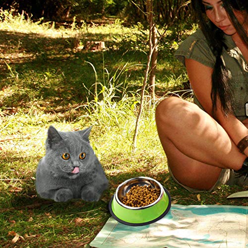 Stainless Steel Cat Bowls 3 Pack, Yudansi Puppy Small Dogs Animal Bowls For Food And Water, Cat Dish Set For Wet Food Or Kibbles, Multifunctional Pet Bowls,  Colored Non Skid Anti Slip Feeding Plate #TOP5