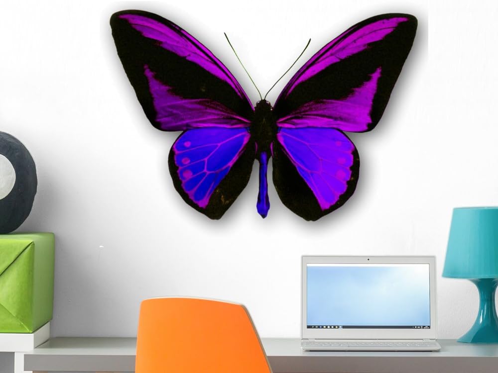 Wallmonkeys WM213112 Ppillon Peel and Stick Wall Decals, 24" W x 18" H-Medium