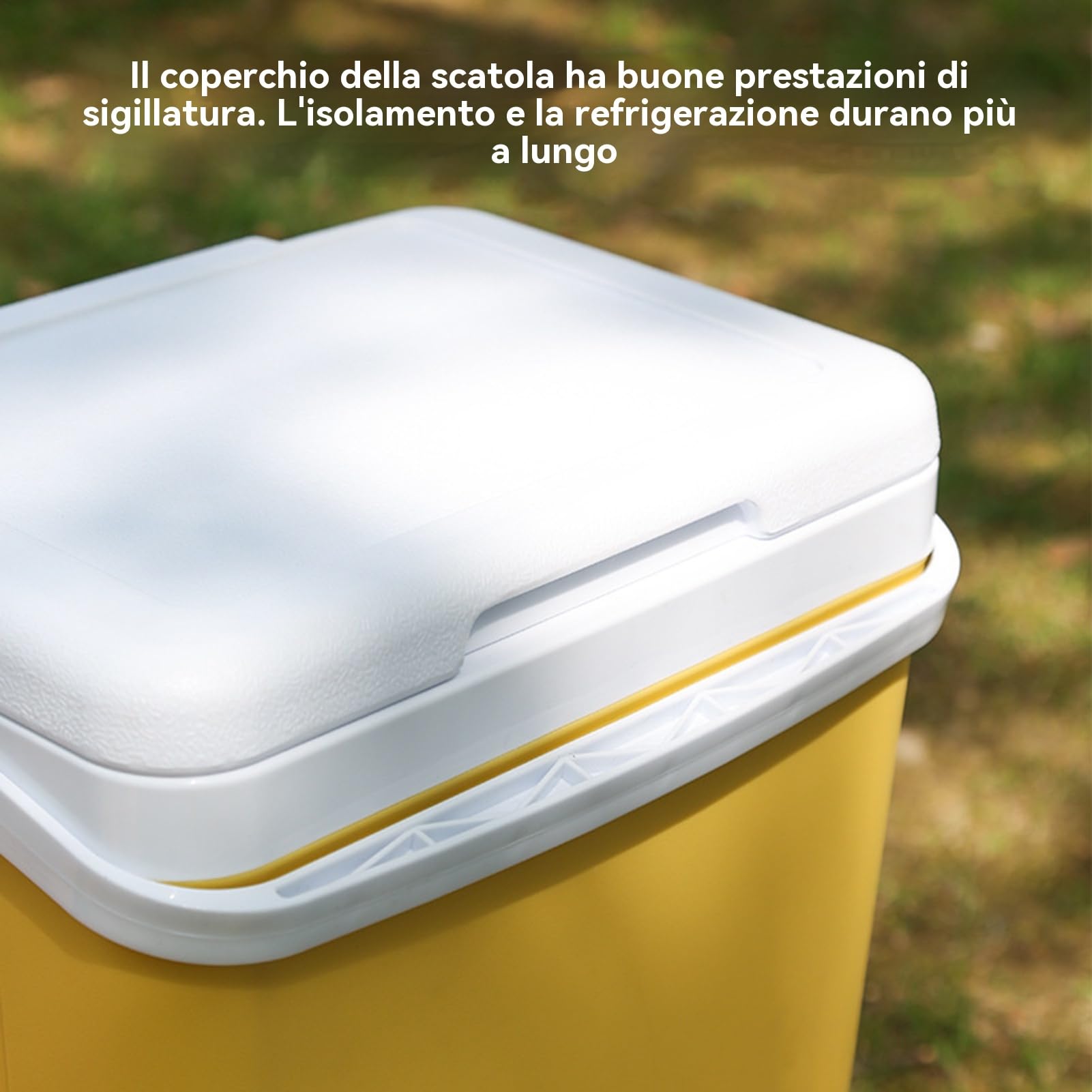 Borsa Frigo Contenitore Portatile Isolato Grande Capacità