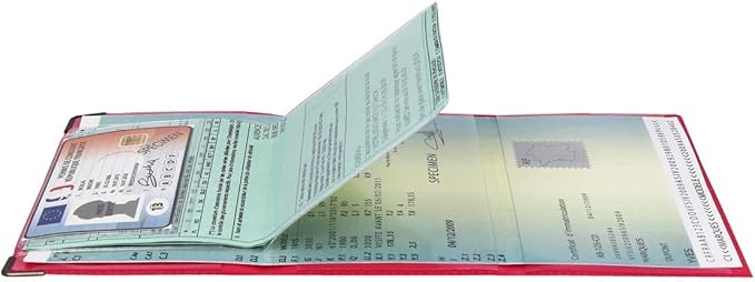 Color Pop® - PVC Car Document Holder 15.5 X 10.5 Cm All Allowed, Print - View #8