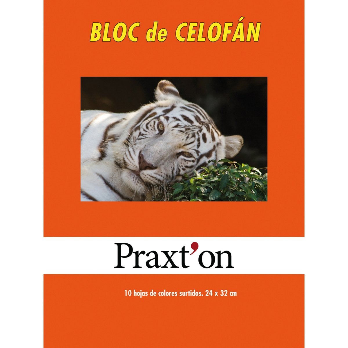 Papel Celofán PRAXTON, Bloc x10 Hojas Surtidas