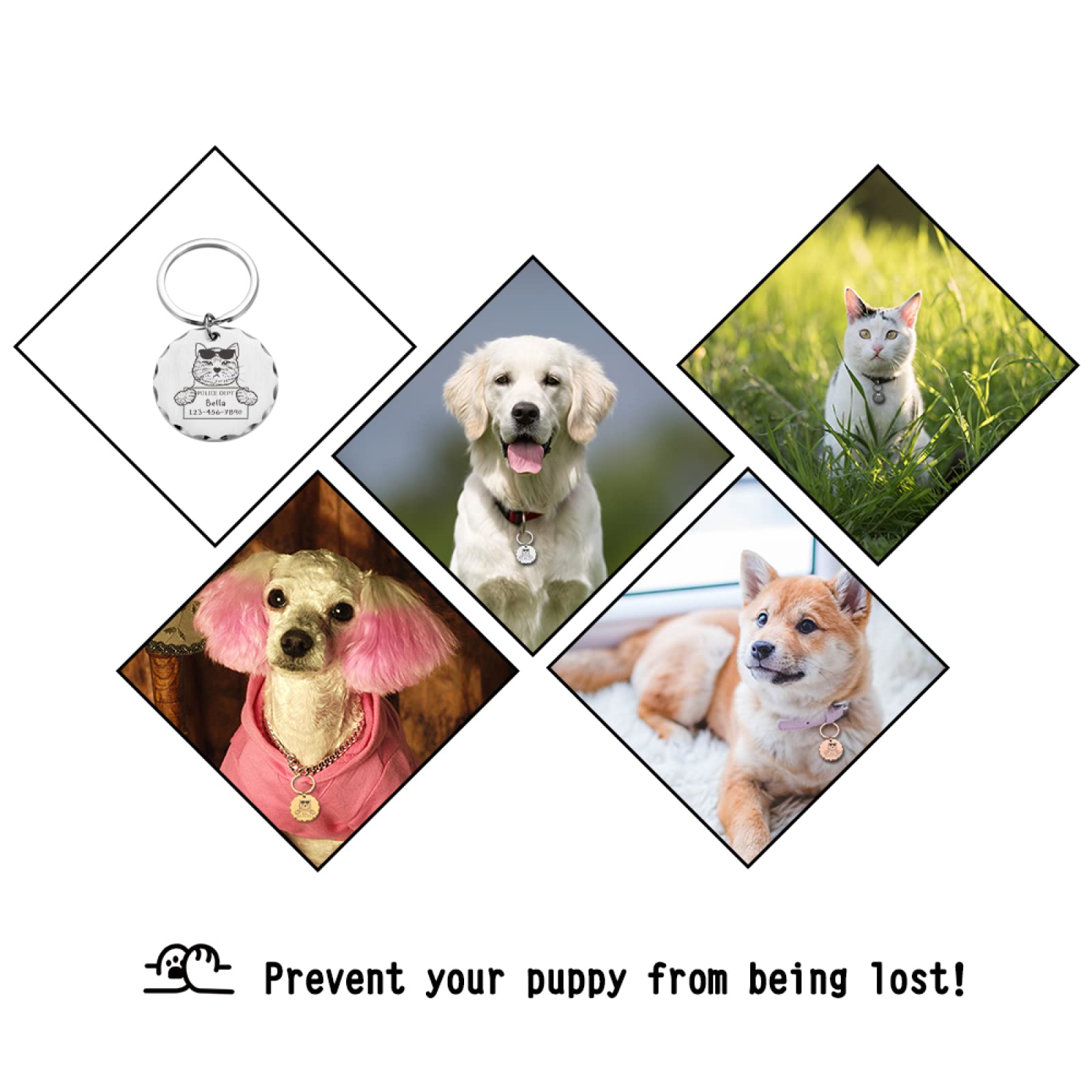 Étiquette D'identification De Chien Étiquettes Pour Animaux De Compagnie Gravées Personnalisées Étiquettes Personnalisées Pendentif Anti-perte Plaque Signalétique Pour Accessoire De Collier