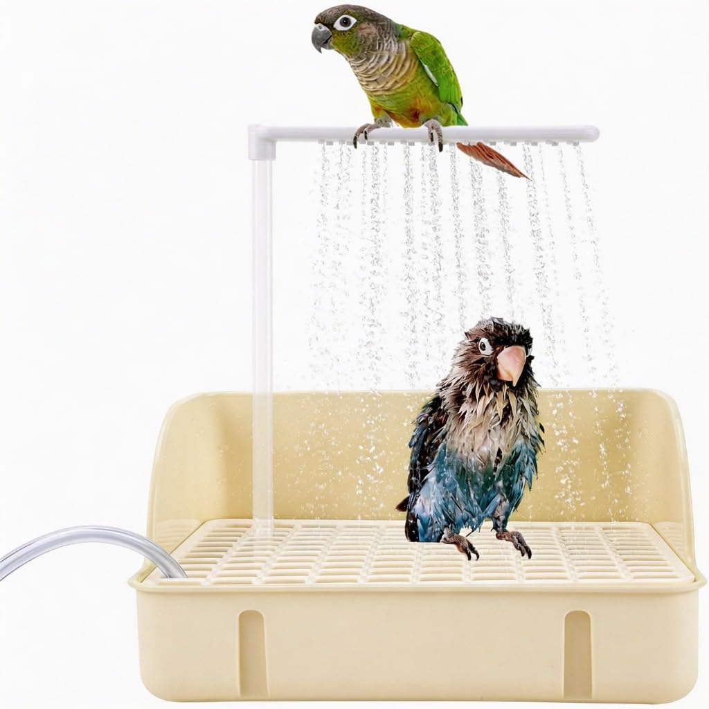 Baignoire automatique pour oiseaux 28 x 21 cm avec pompe à recirculation silencieuse – USB électrique pour cage