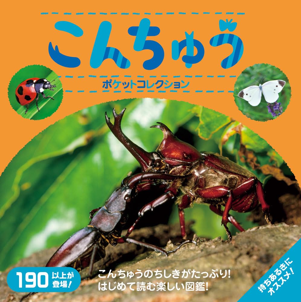 こんちゅうポケットコレクション (マイポケットコレクション 5) | 寺山