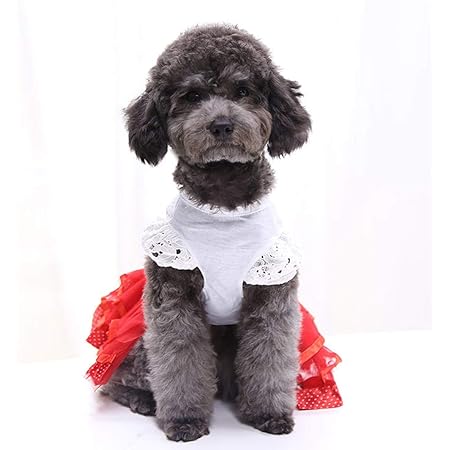 Amazon Ponacat 犬服 犬 ドレス ペットのドレス ワンピース 高級手作り お姫様スカート かわいい服 子犬 犬 猫 ソフト プレゼント 散歩 お出かけ ペット用品 Ponacat ドレス ワンピース 通販 Amazon Ponacat 犬服 犬 ドレス ペットのドレス ワンピース 高級手作り お姫様スカート かわいい服 子犬 犬 猫 ソフト プレゼント 散歩 お出かけ ペット用品 Ponacat ドレス ワンピース 通販