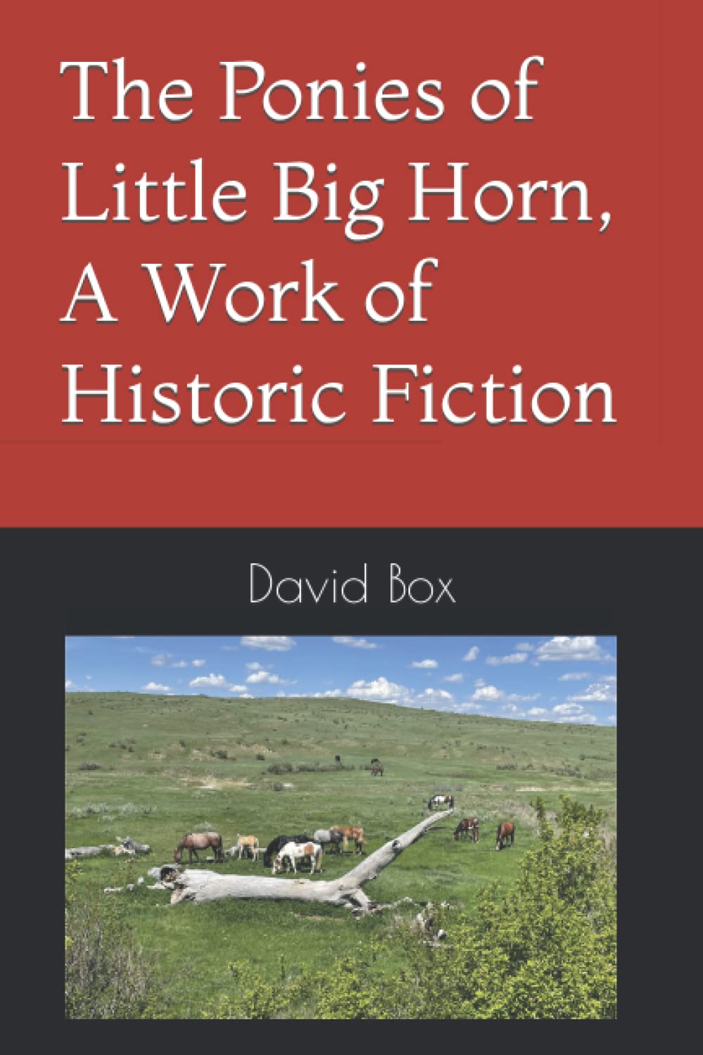 The Ponies of Little Big Horn, A Work of Historic Fict