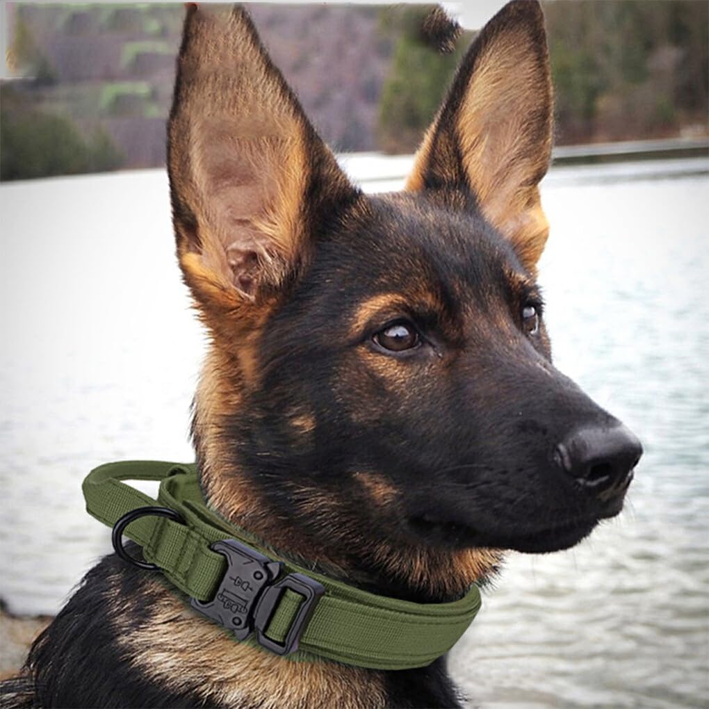 ノーブランドリーシュ