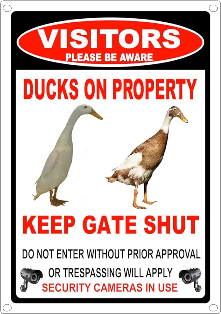 Bioprocess Metalposterc1442 Indian Runner Ducks Property Gate Sign Metal Tin Sign 8X12 Inch