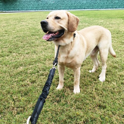 SEPXUFORE Short Dog Leash Extender, 18 in Bungee Shock Absorbing, Nylon Multifunctional Dog Leash for Medium Large Dogs Walking Training Running (Blue)
