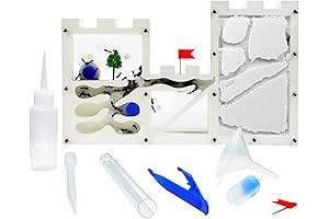 Enthralling Ant Farm Terrarium: Observe the Intricate World of Ants