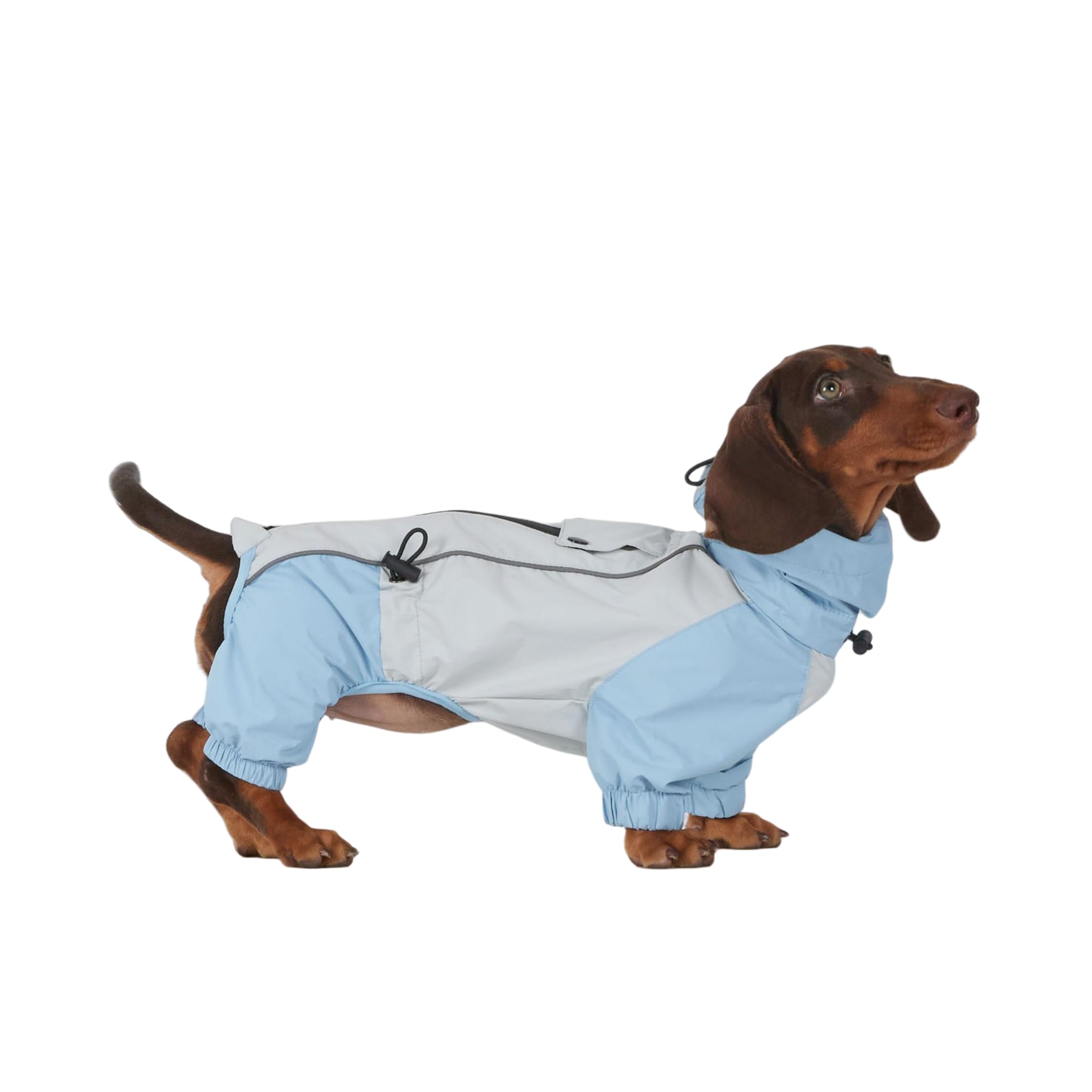 Dackel Regenmantel, wasserdichte 4-Bein Hundejacke, Leichter Outdoor Windbreaker für Mini Dackel(S(4-6kg)