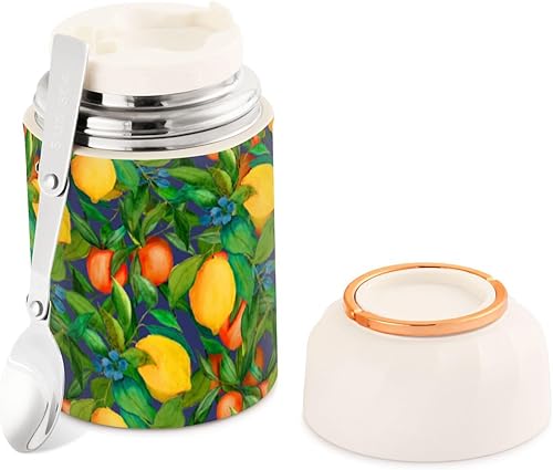 Citrus Fruits Food Jar with Spoon Stainless Steel Vacuum Insulated Food Container 17 oz Food Thermos for Lunch