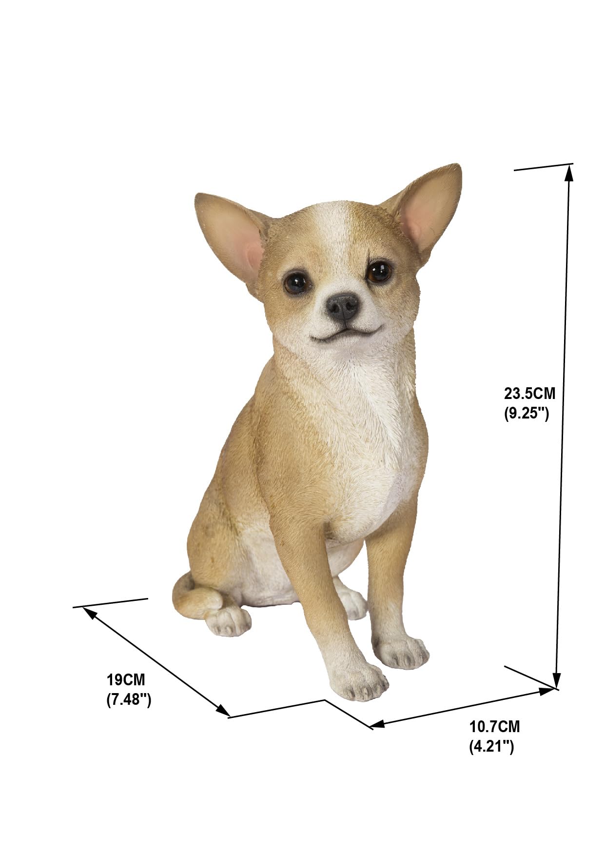 Amazon.com : Hi-Line Gift Ltd Chiwawa Dog Statue : Home & Kitchen