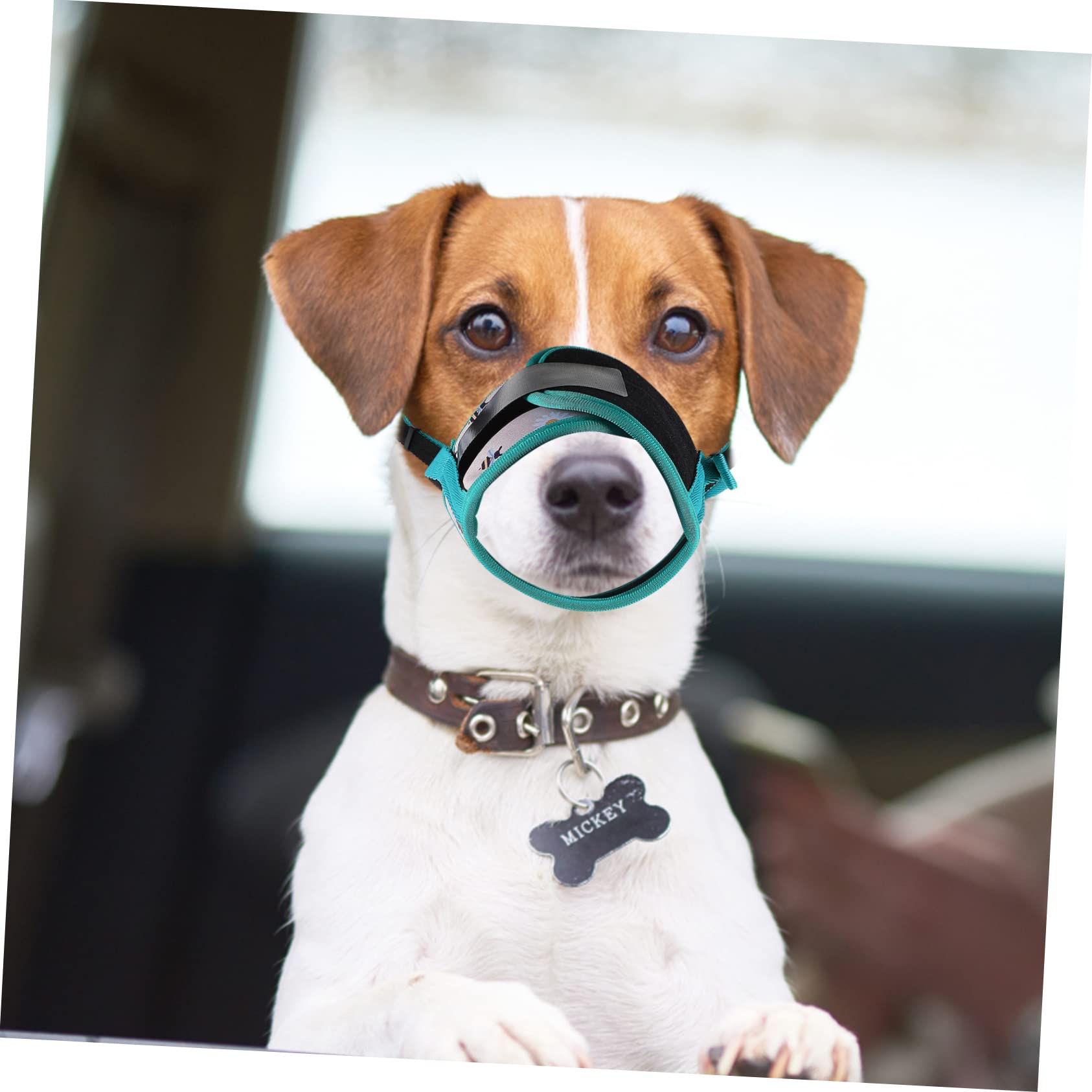 VANZACK Printed Adjustable Dog Muzzle Soft Polyester Chewing Prevention Muzzle for Dogs Breathable Biting Design for Outdoor Use