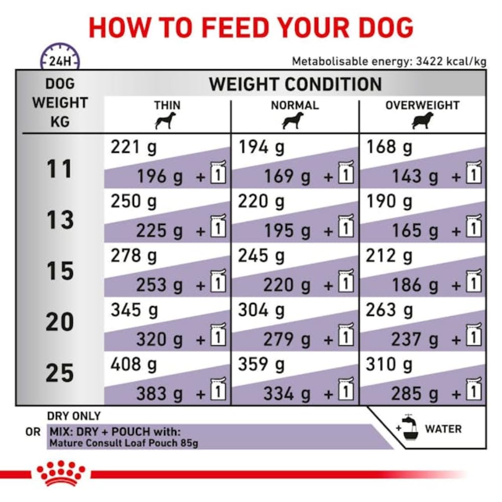 Cibo Royal Canin per cani maturi - 10 kg