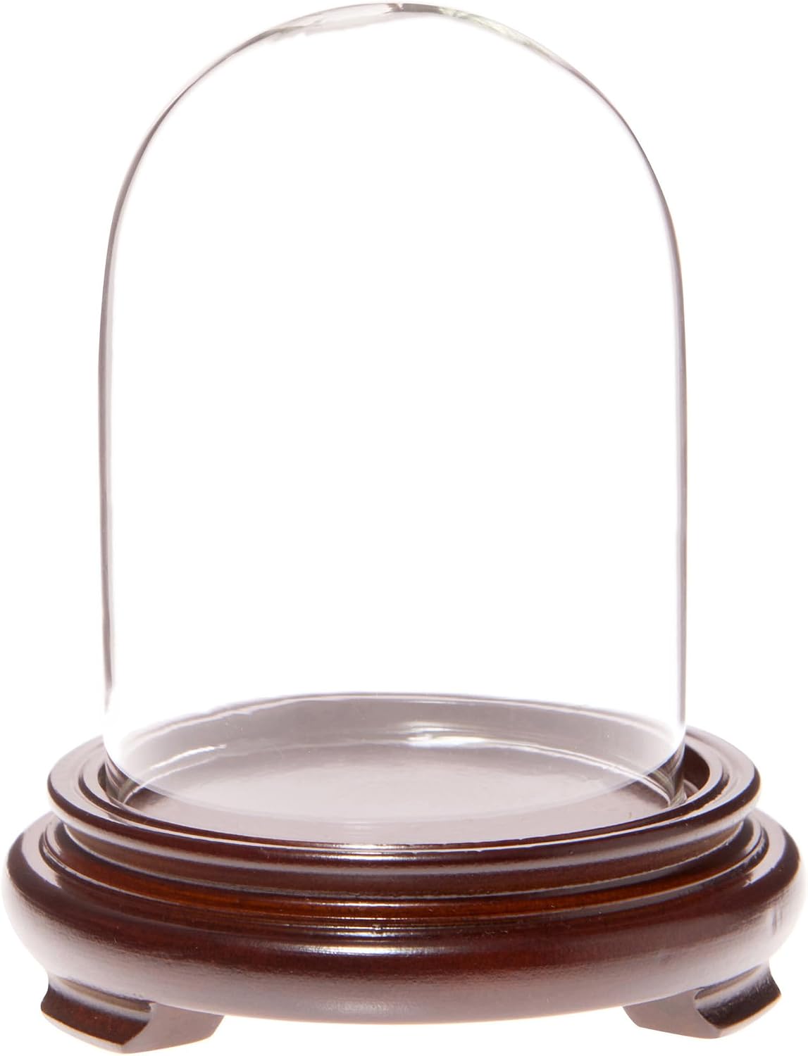 Plymor 3" x 4" Glass Display Dome Cloche (Walnut Wood Veneer Footed Base)