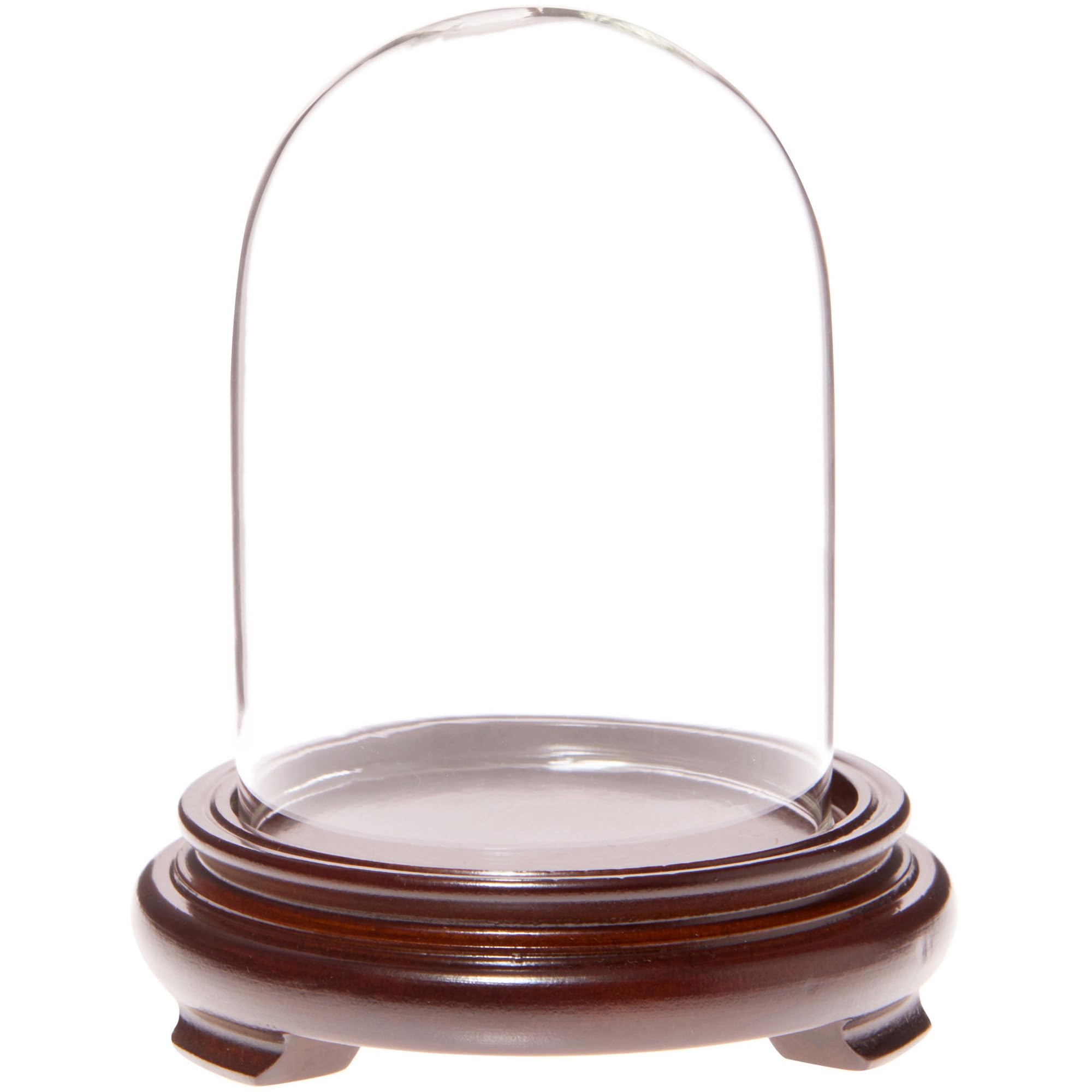 Plymor 3" x 4" Glass Display Dome Cloche (Walnut Wood Veneer Footed Base)