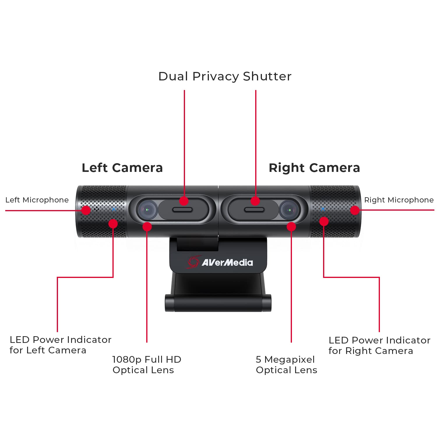PW313D Professional Dual WebCam Avermedia PW313D Professional Dual WebCam