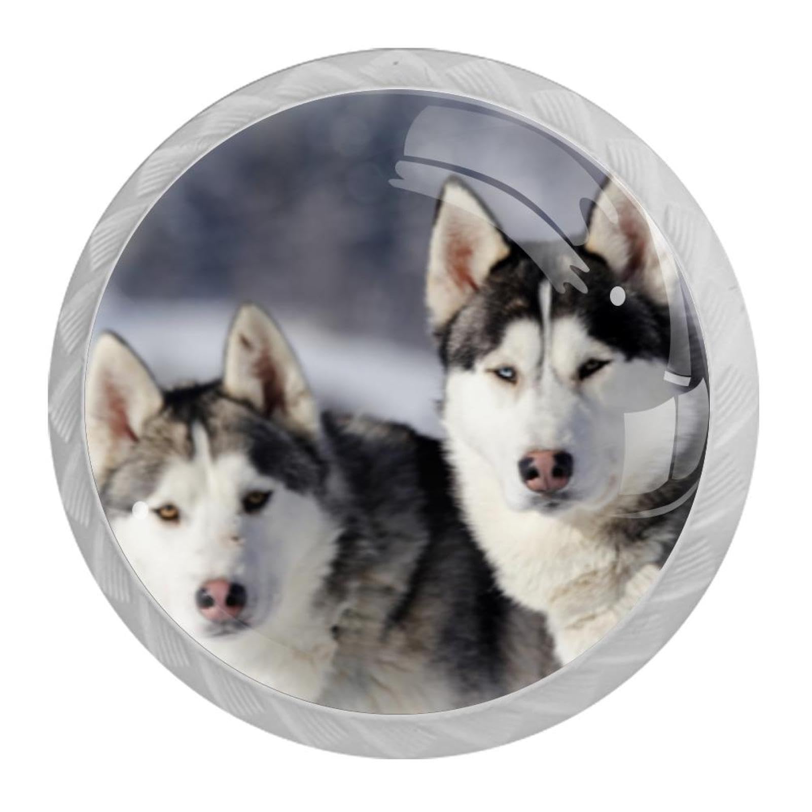 Tqmspg 4 Pieces Drawer Pulls Huskies in Winter Door Knobs Dresser Handles for Kitchen Wardrobe Cupboard Hardware Furniture