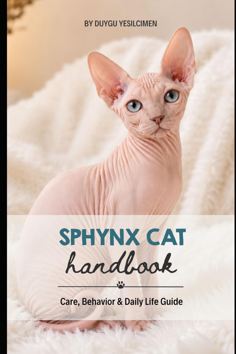 Sphynx Cat: Care, Behavior & Daily Life Guide