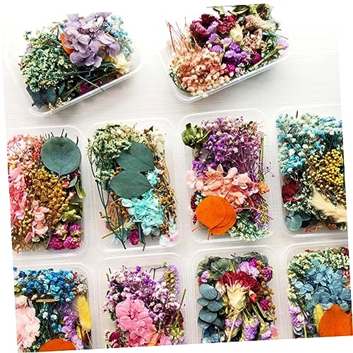 Flores Secas Realistas para Manualidades miniatura 7