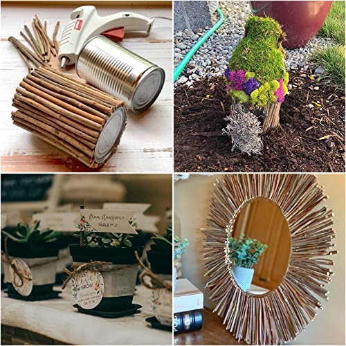 Dirbuy 300Pcs Wood Sticks For Crafts 4”, Birch Wood Sticks, Wood Log Sticks, Craft Twigs Sticks For Diy Crafts Photo Props School Projects #TOP3