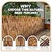 ZNCMRR Natural Reed Fencing Rolls,4FT X 16.4FT Reed Screen Curtain Balcony Reed Fence for Outdoor Backyard Patio（Brown）