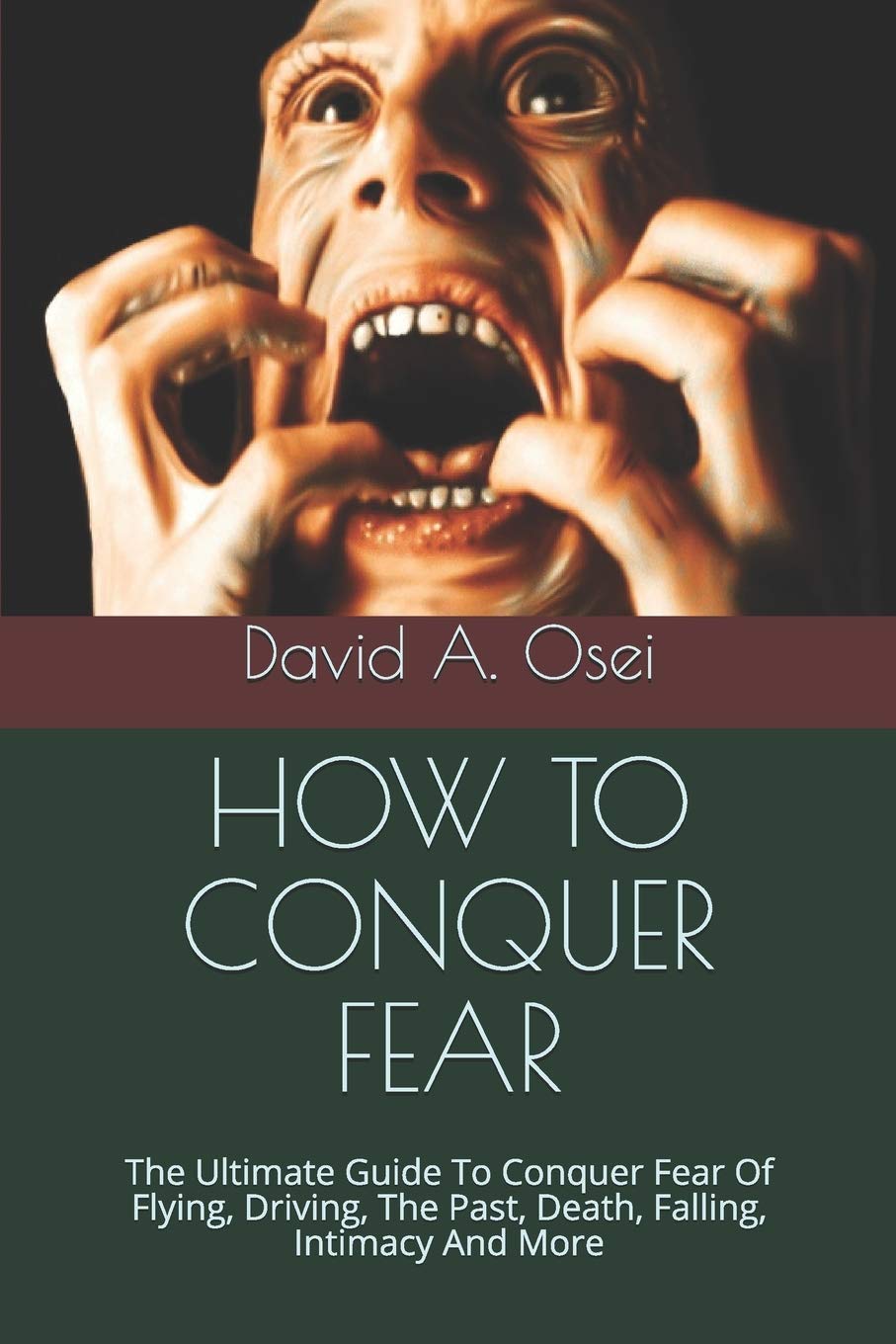 HOW TO CONQUER FEAR: The Ultimate Guide To Conquer Fear Of Flying ...