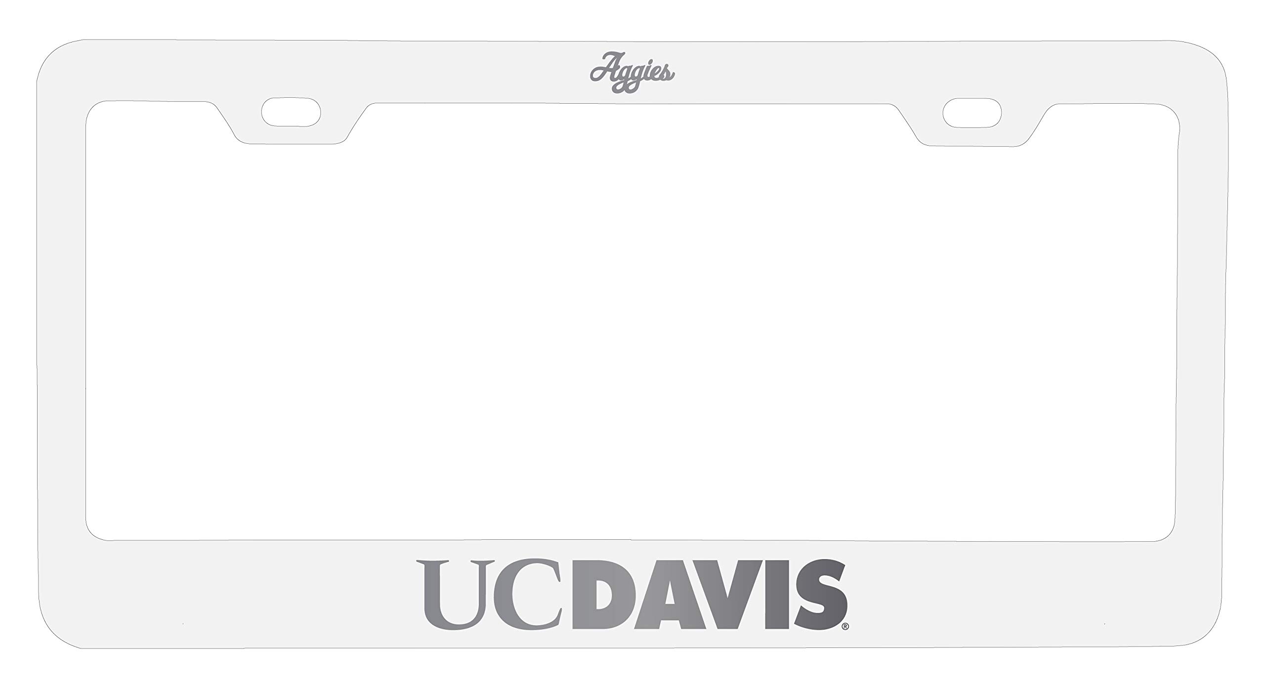 I Tested The UCF License Plate Frae And Here's Why It's A Ust-Have...
