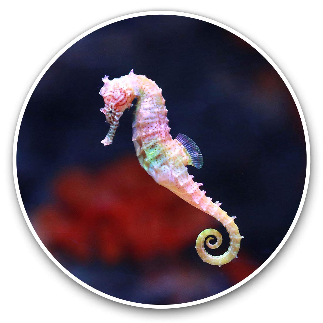 Destination Vinyl Ltd Pink Seahorse Fish Ocean 15882 Awesome Vinyl Stickers (Set Of 2) 15Cm - Pink Seahorse Fish Ocean Fun Decals For Laptops,Tablets,Luggage,Scrap Booking,Fridges #15882