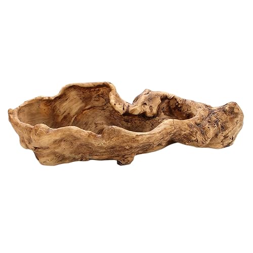 Holder in Driftwood for Indoor Decoration