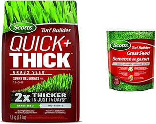 Scotts Turf Builder Quick + Thick Grass Seed (Sunny Bluegrass) 1.2kg (12665), Green & 20239 Turf Builder Grass Seed Sunny Areas Mix 1Kg