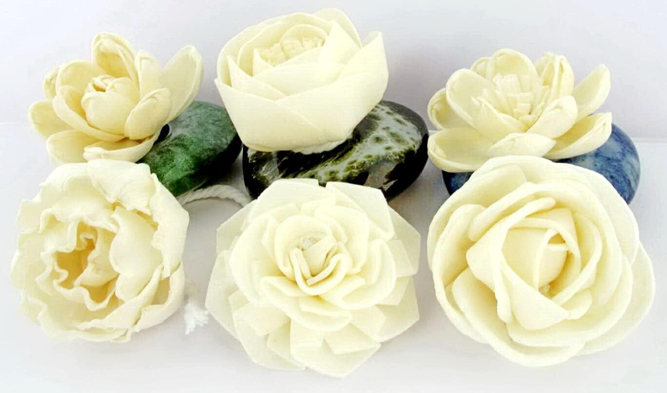 Feel Refreshed by The Scent of Aromatherapy Set of Natural Material Sesbania Wood Flower Diffuser 6 Pieces and 3 Handmade Ceramic vases Rock Style for Aroma diffused (FL06)