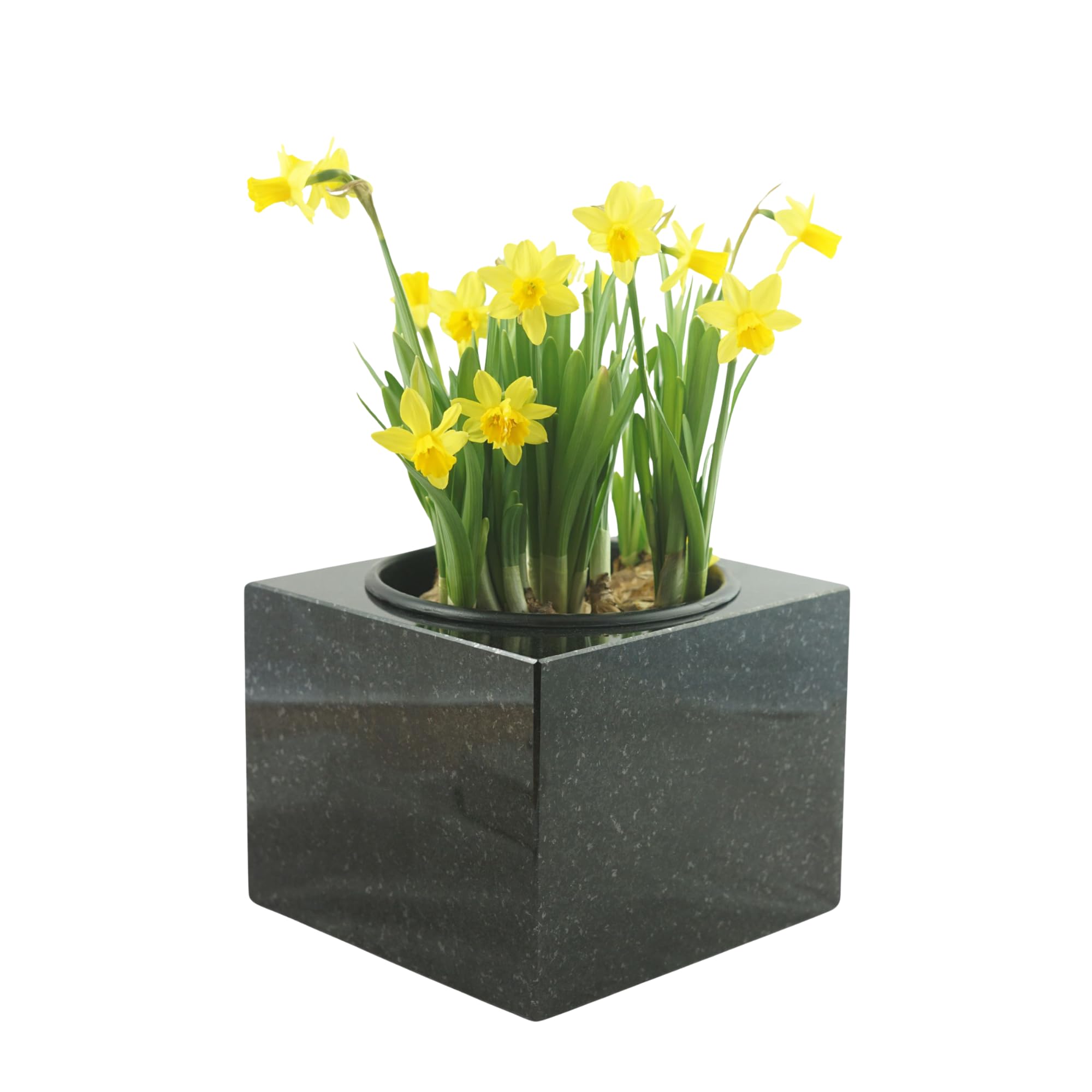 designgrab Carreaux en granit suédois noir 30 cm poli et digne