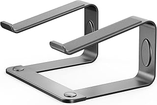 LORYERGO Laptop Stand, Ergonomic Laptop Riser Laptop Stand for Desk, Notebook Stand Compatible with Most 10-15.6” Laptops, Space Grey