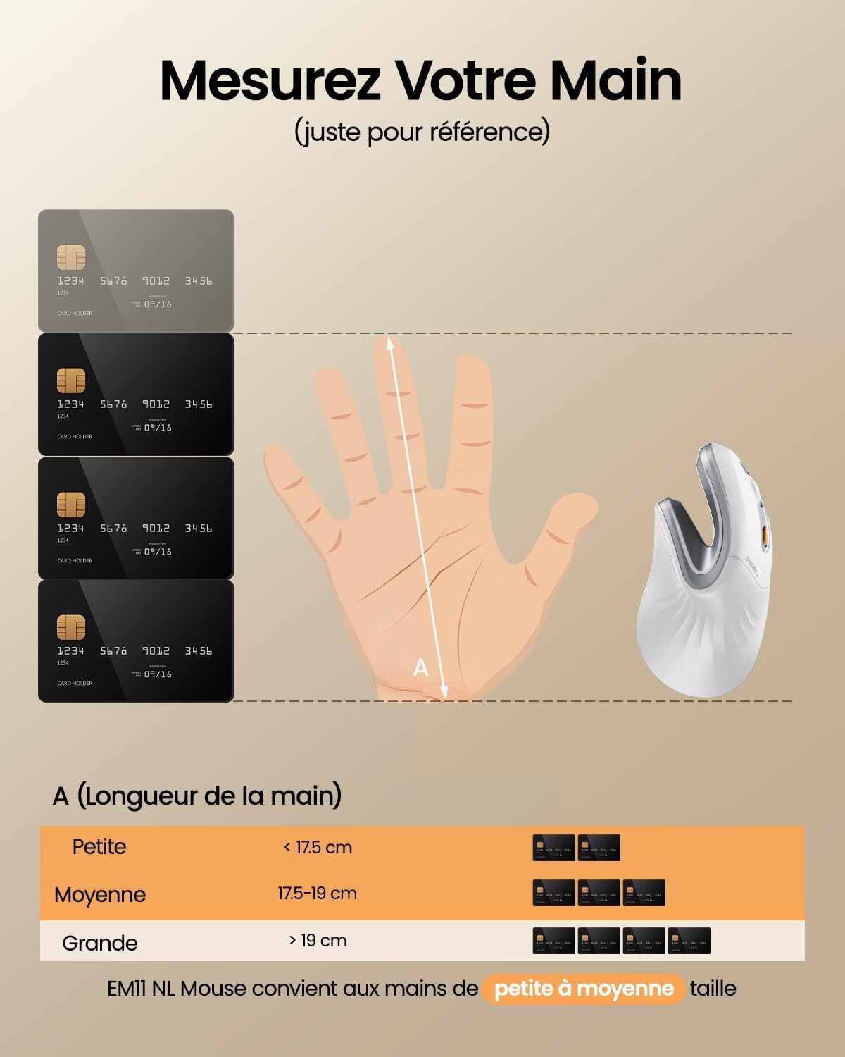 ProtoArc EM11 Souris Ergonomique Rechargeable et Silencieuse avec Connectivité Multi-Appareils - Blanc - Image détaillée