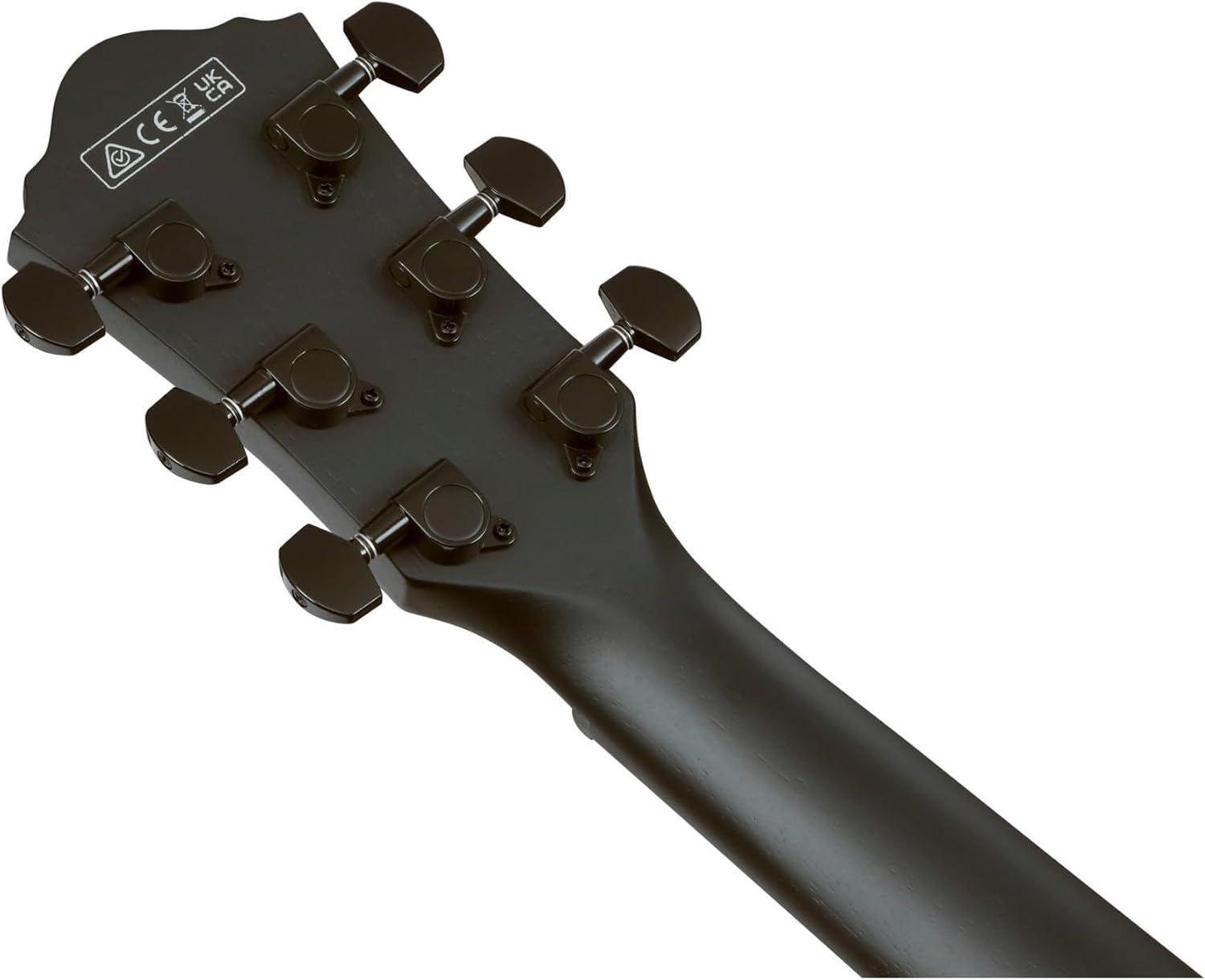 Ibanez AEG Series AEG621 Acoustic Electric Guitar, Black Out