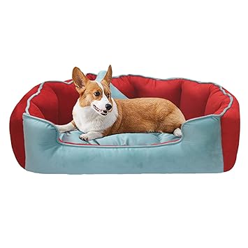 Mellifluous Dog Cat Pet Bed Soft Velvet with Reversible Removable Cushion (XL, Aqua Blue-Red)