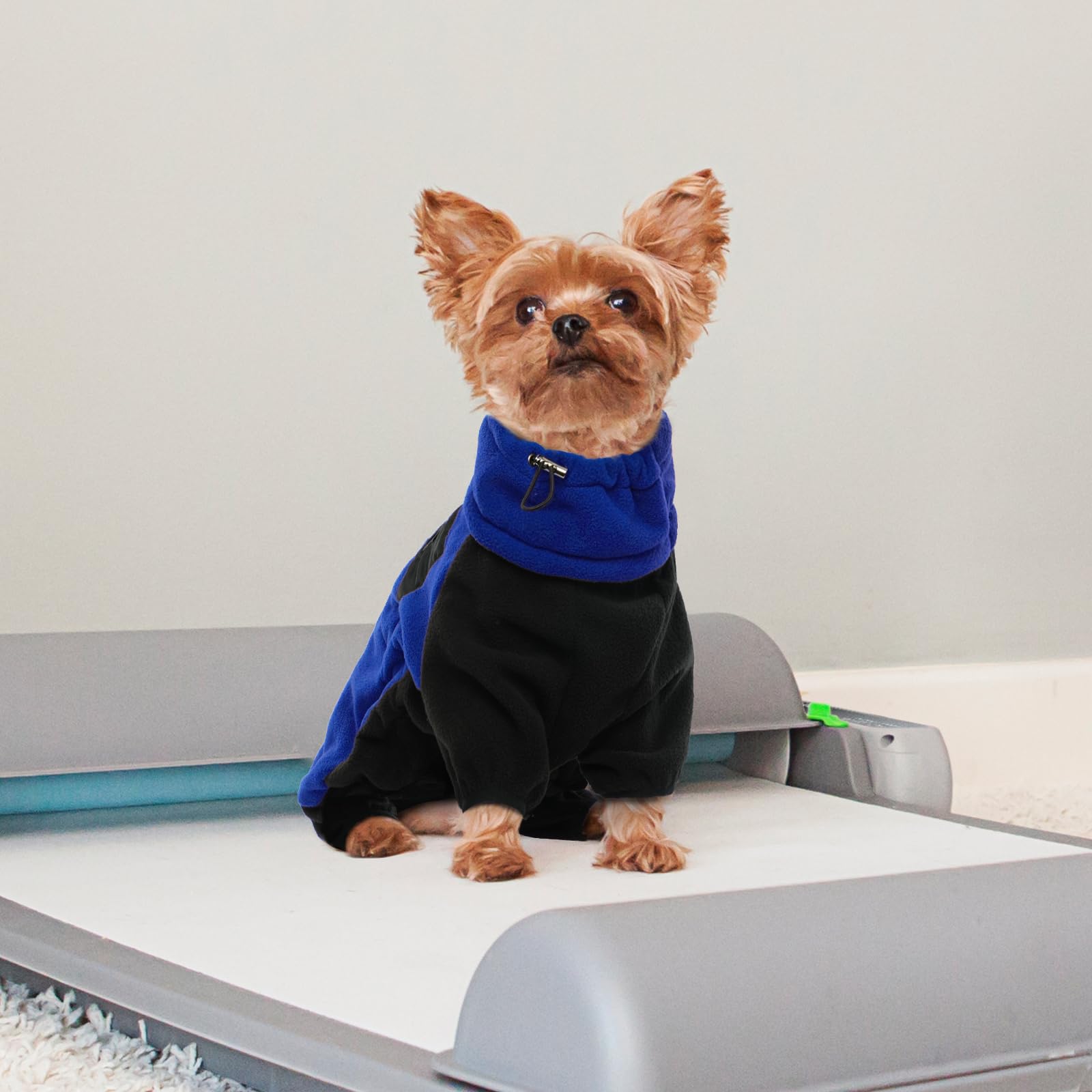 Cappottino Invernale Cani Piccoli Giubbotto Pile Caldo Abbigliamento Veste Cani Felpa Cuccioli Tuta Neve Chihuahua Blu XL