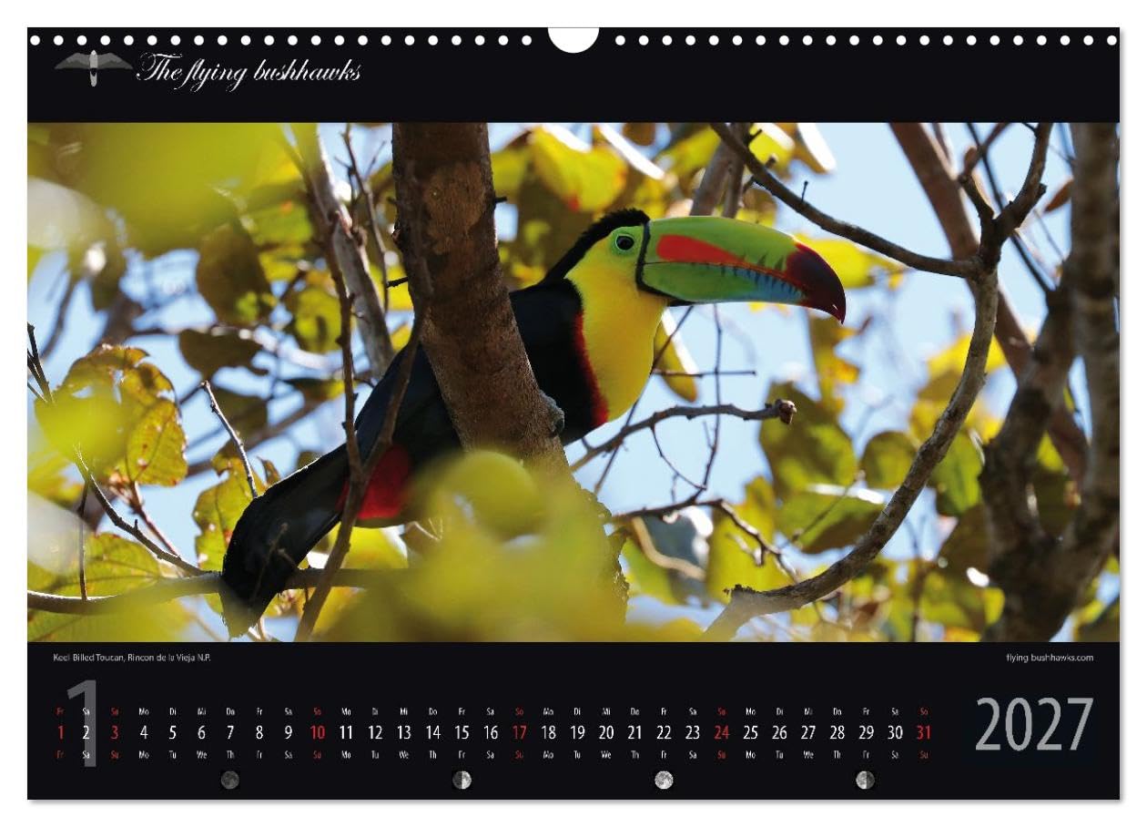Costa Rica Blickwinkel 2027 (Wandkalender 2027 DIN A3 quer), CALVENDO Monatskalender: Costa Rica - flying bushhawks Blickwinkel Kalender (CALVENDO Orte)